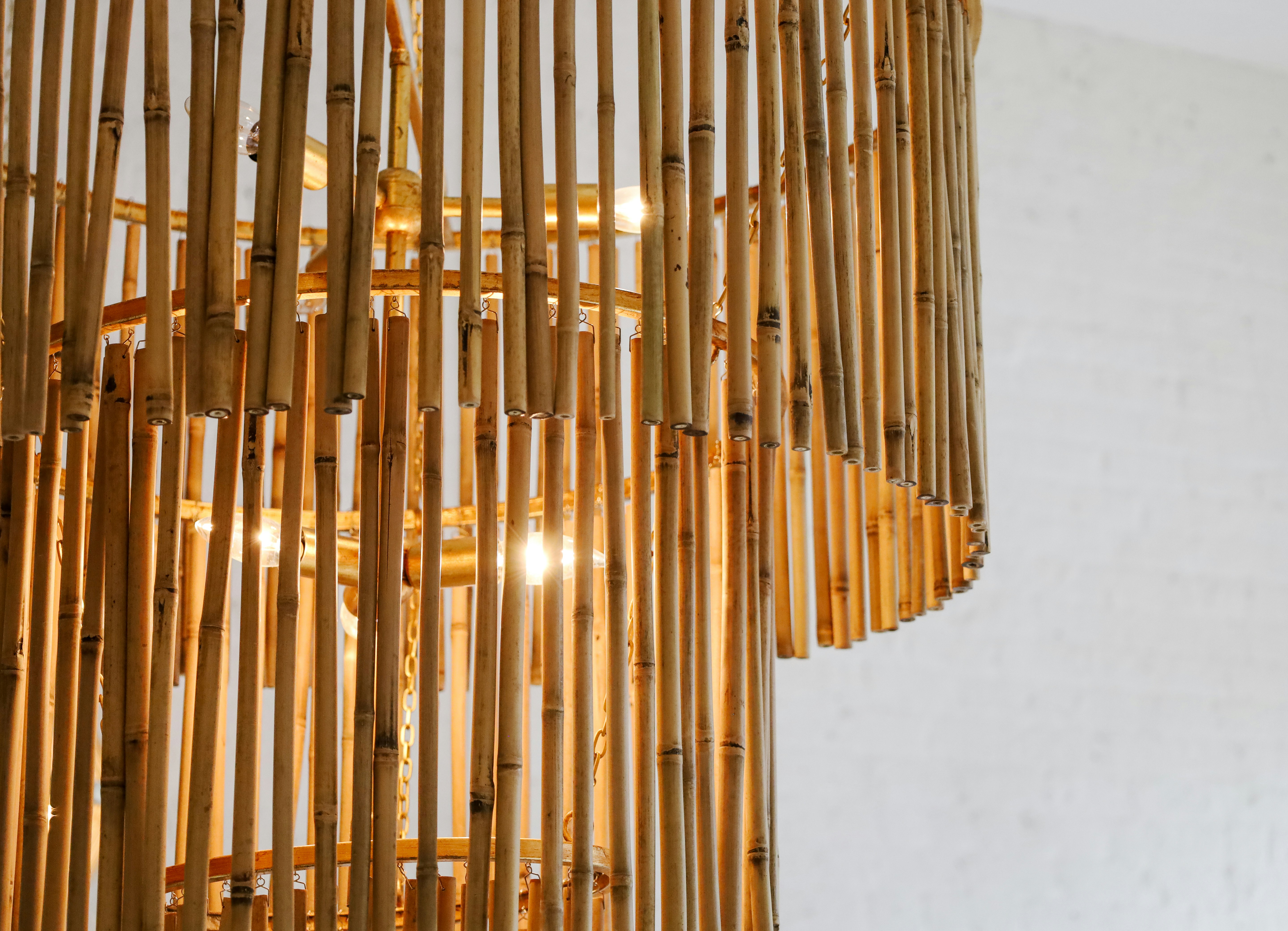 Photo by rosemarymedia