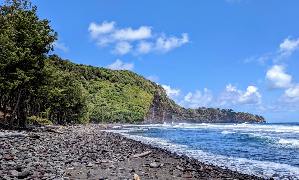 a rocky beach with trees and a hill in the background