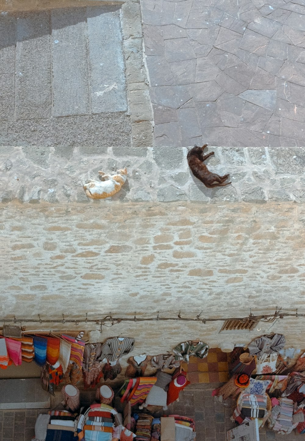 a group of people lying on the ground next to a wall with clothes