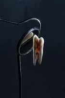 a hand holding a key