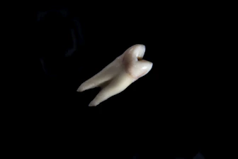 a hand with a finger pointing up
