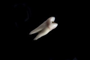 a hand with a finger pointing up