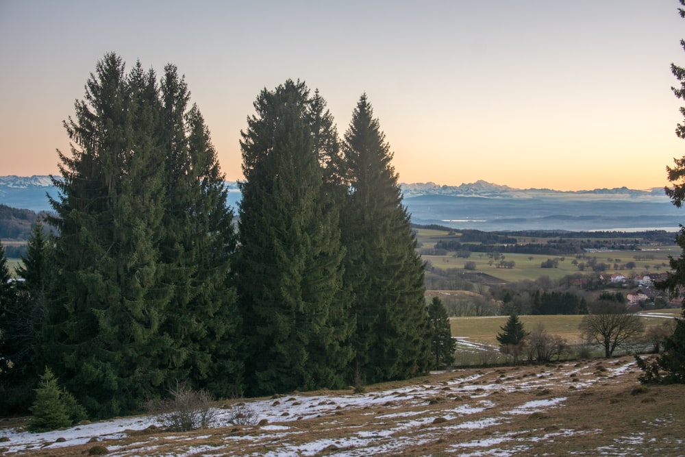 a snowy landscape with trees and a body of water in the background