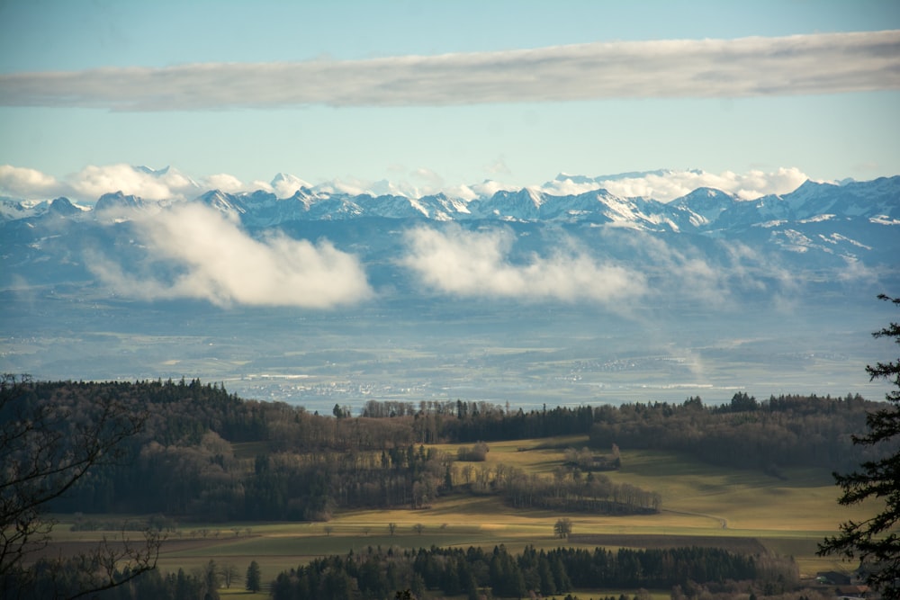 a landscape with trees and mountains in the back