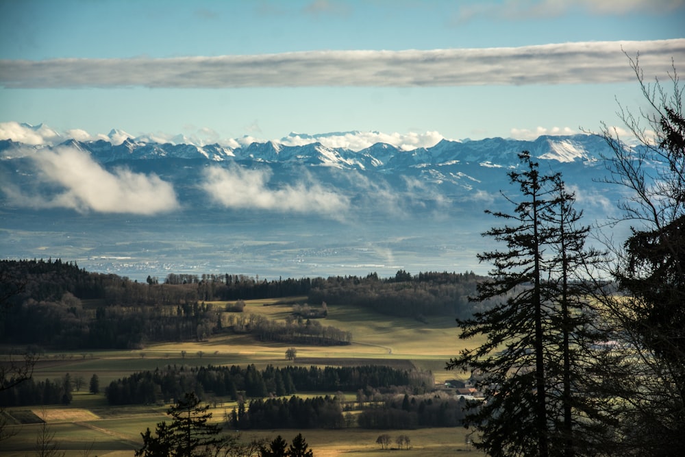 a landscape with trees and mountains in the background