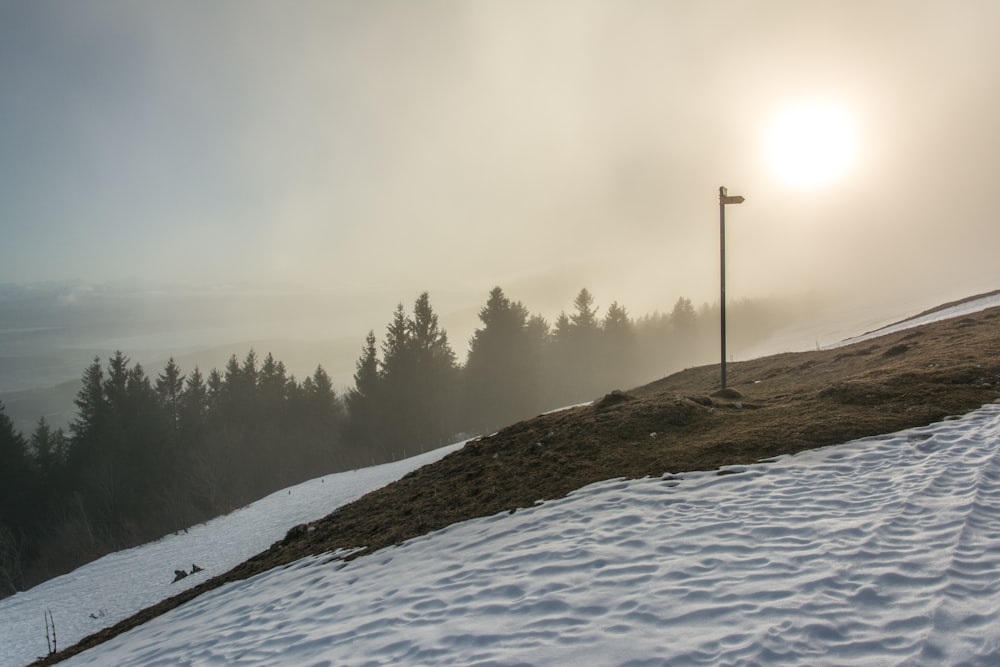 a snowy hill with trees on it