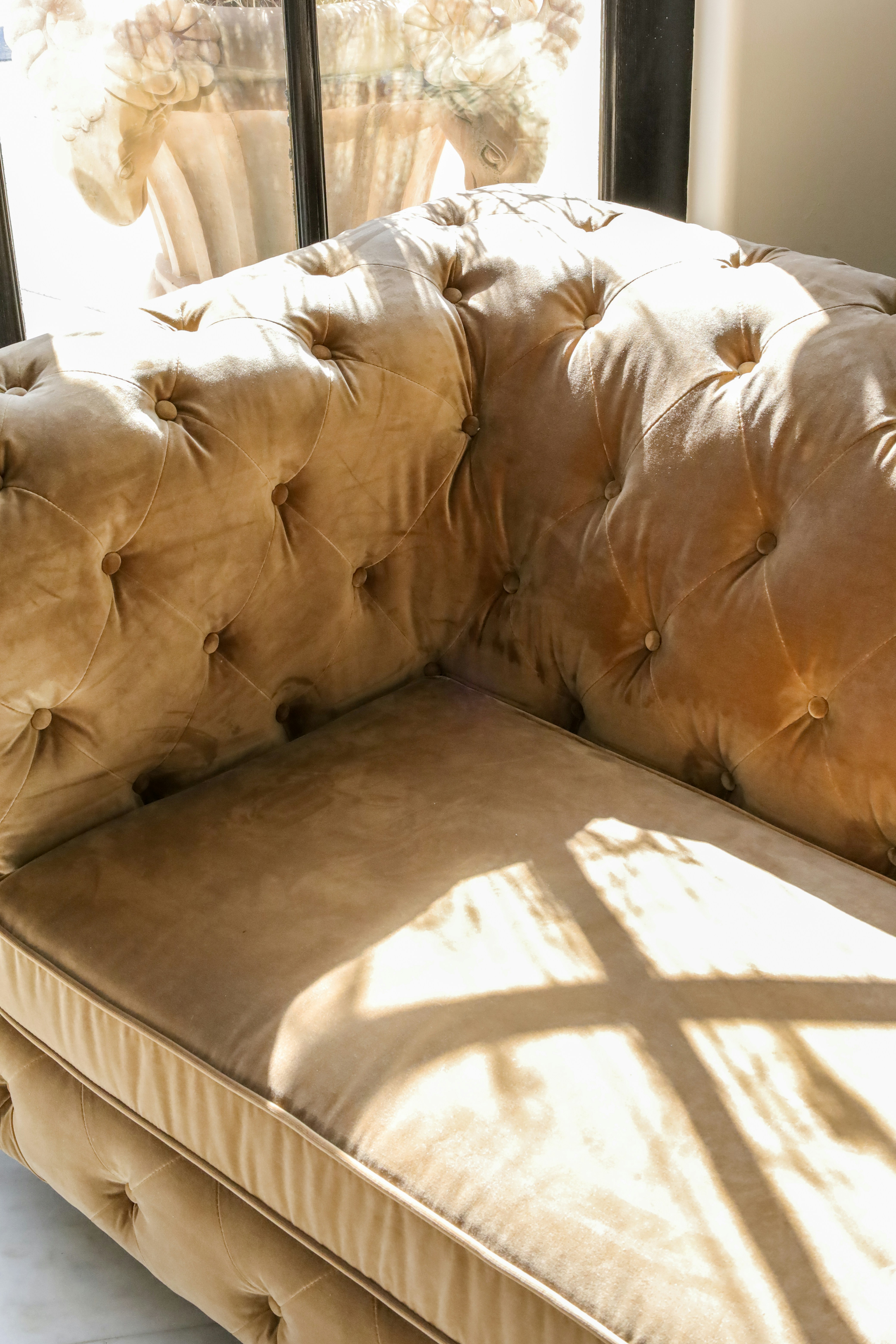 Photo by rosemarymedia