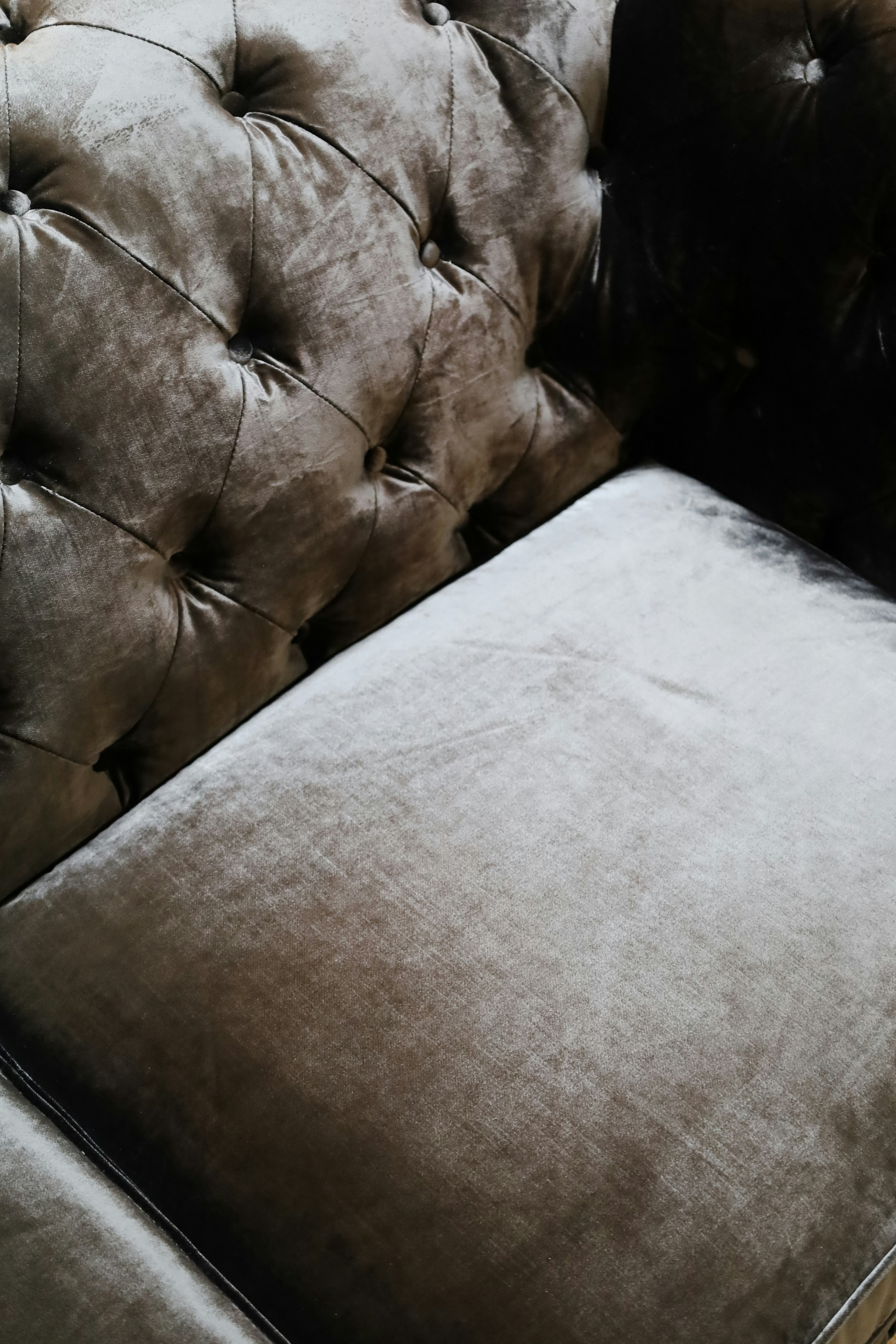 Photo by rosemarymedia