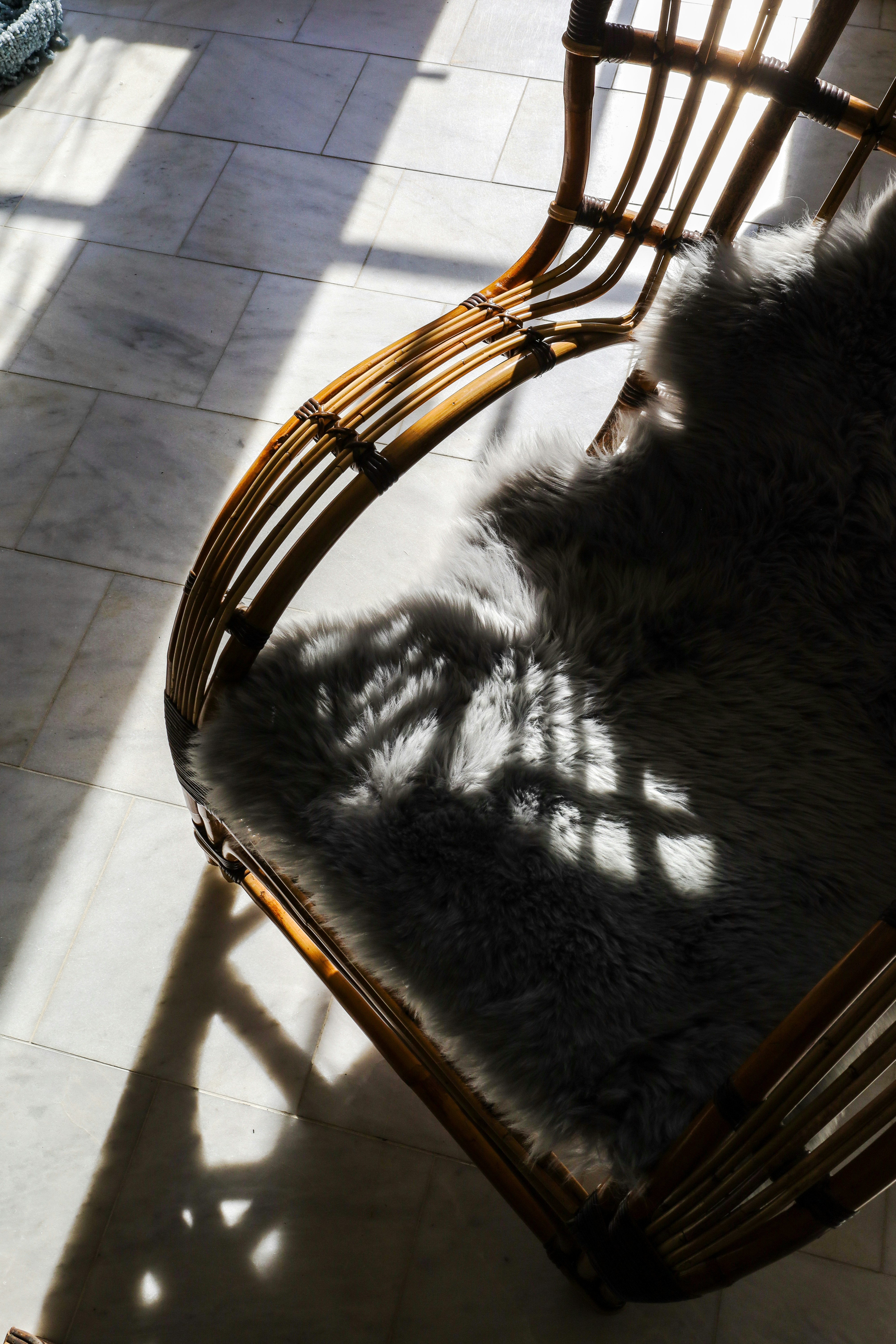 Photo by rosemarymedia