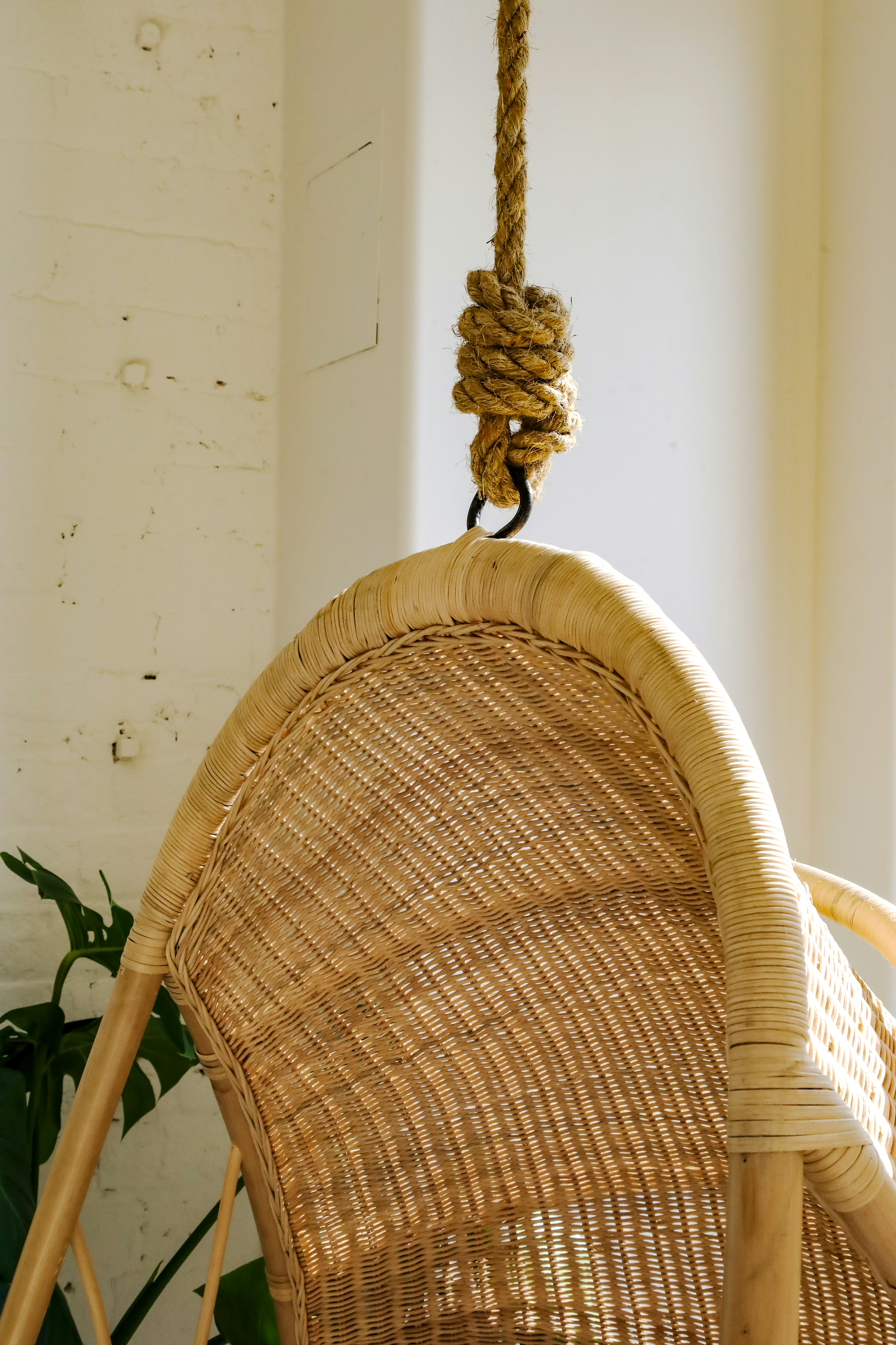 Photo by rosemarymedia