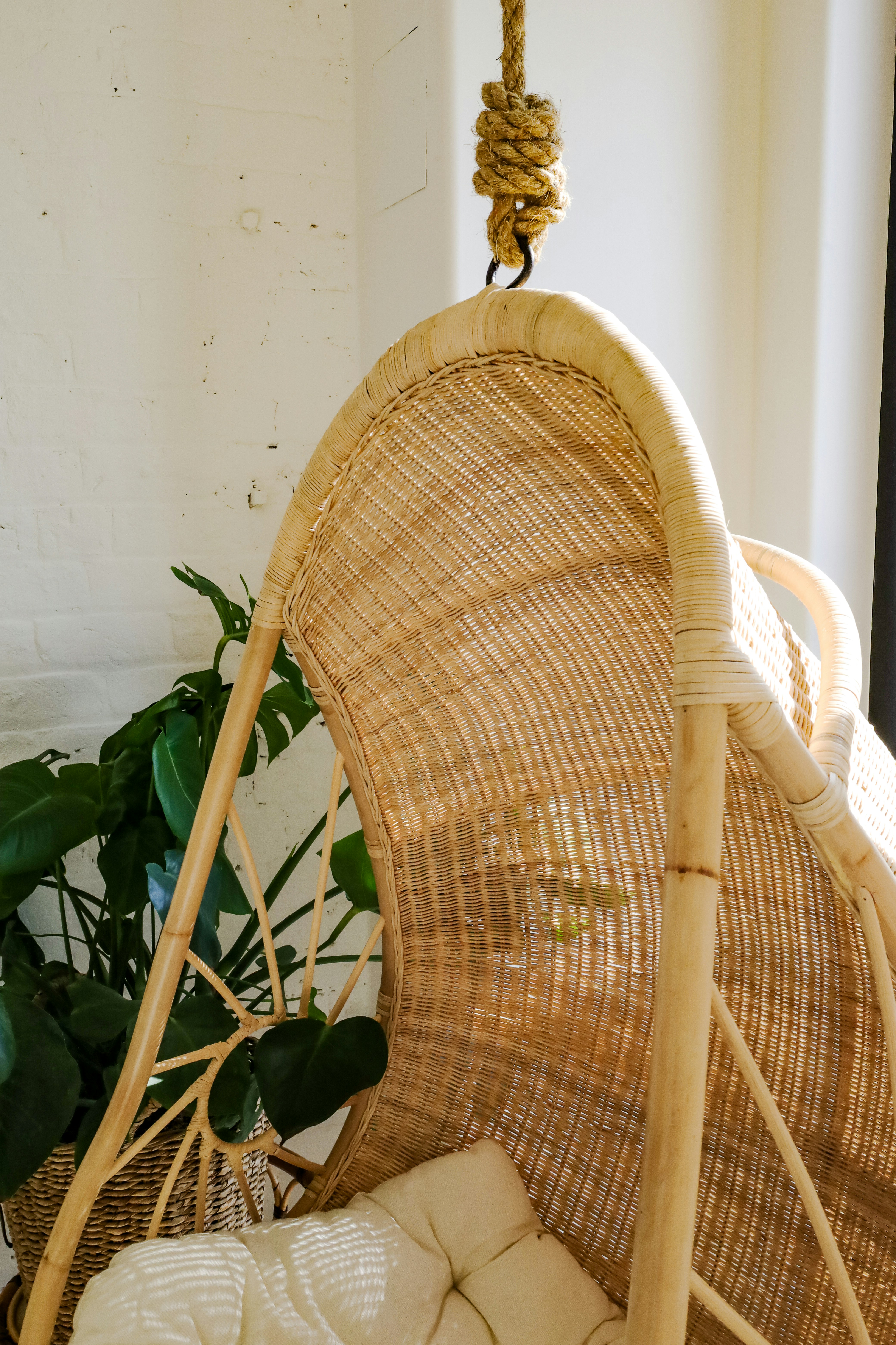 Photo by rosemarymedia