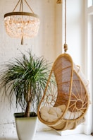 a basket and a plant in a room