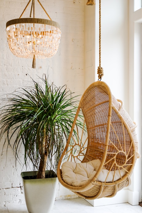 a basket and a plant in a room