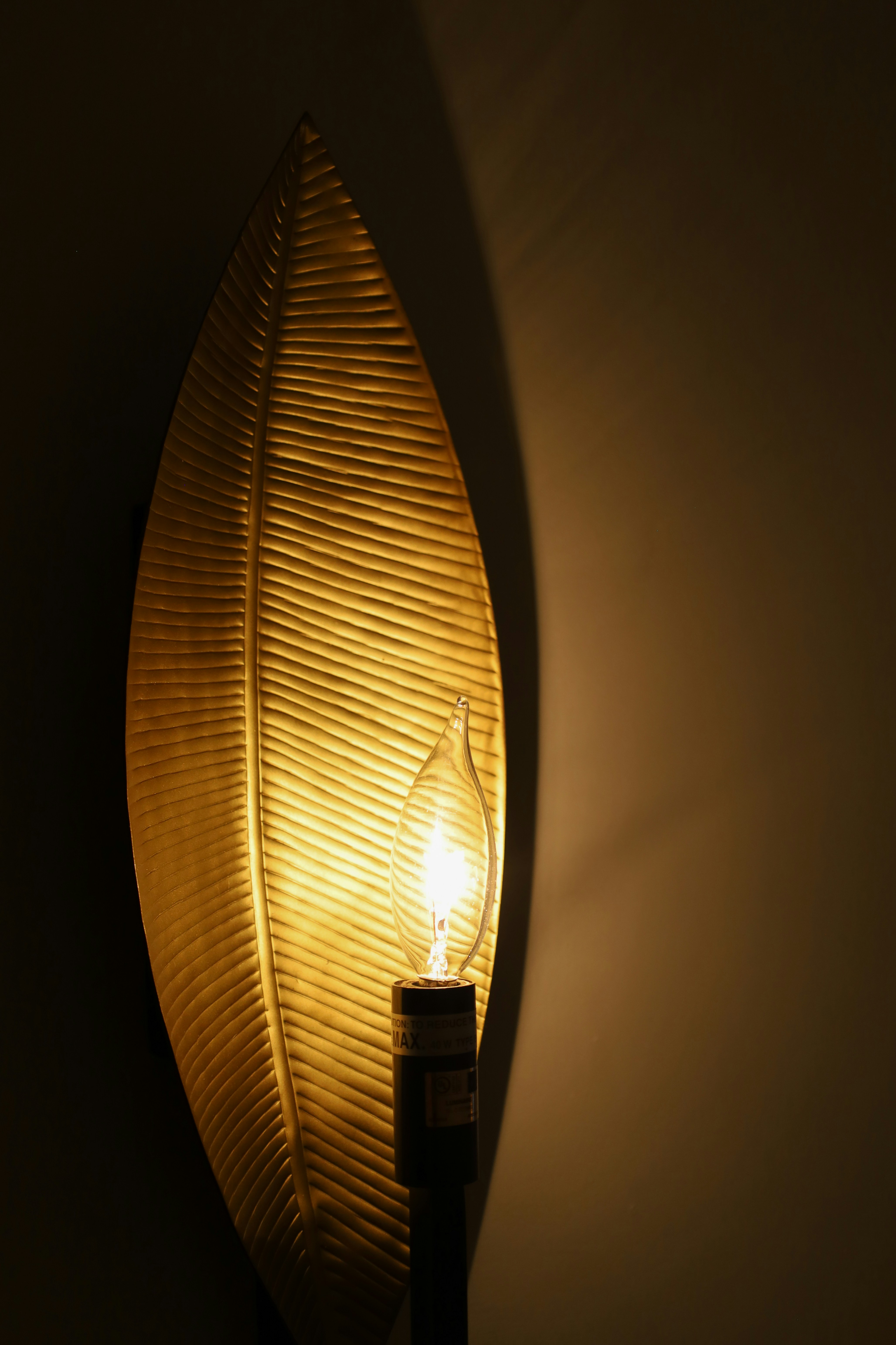 Photo by rosemarymedia