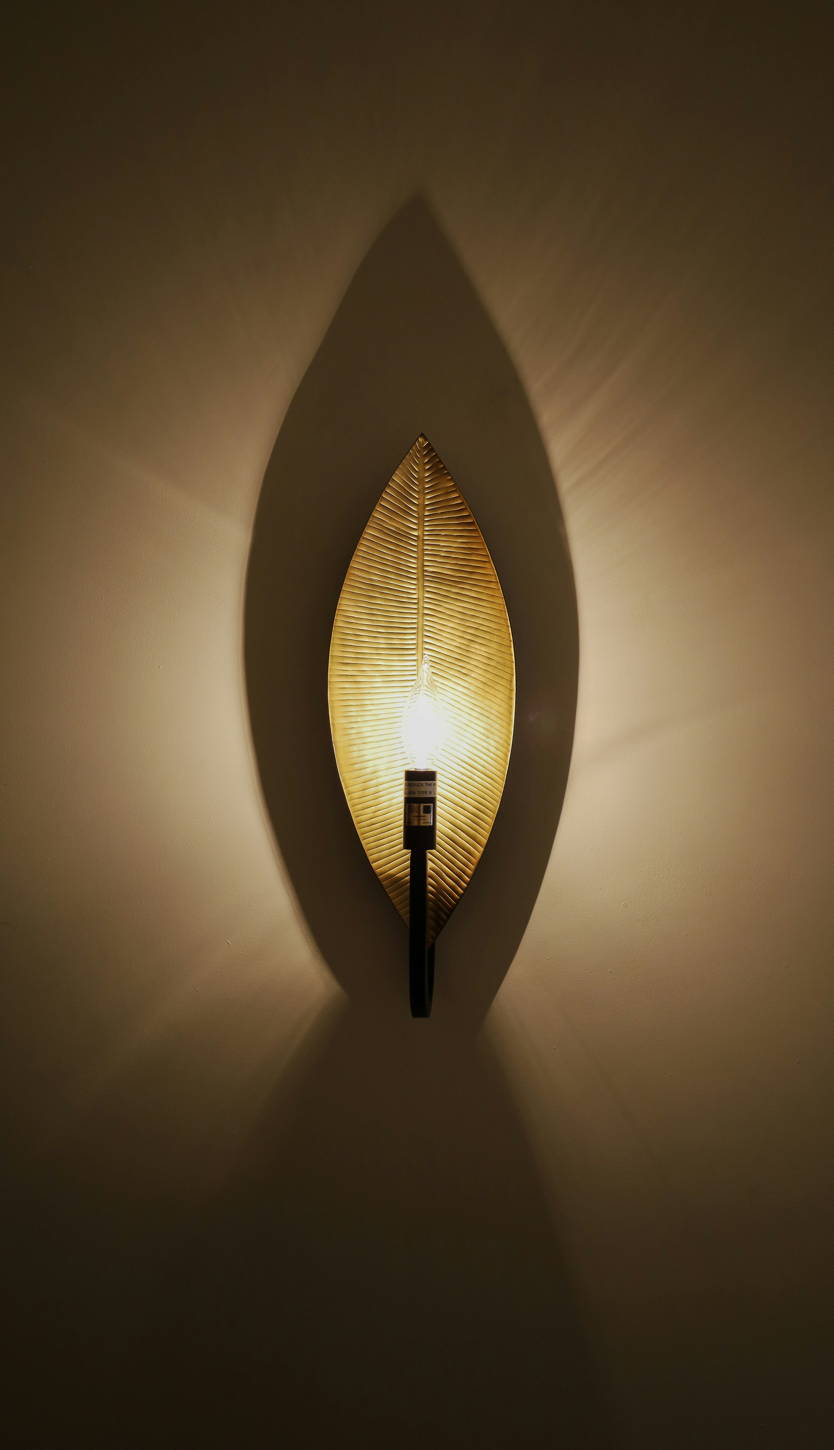 Photo by rosemarymedia