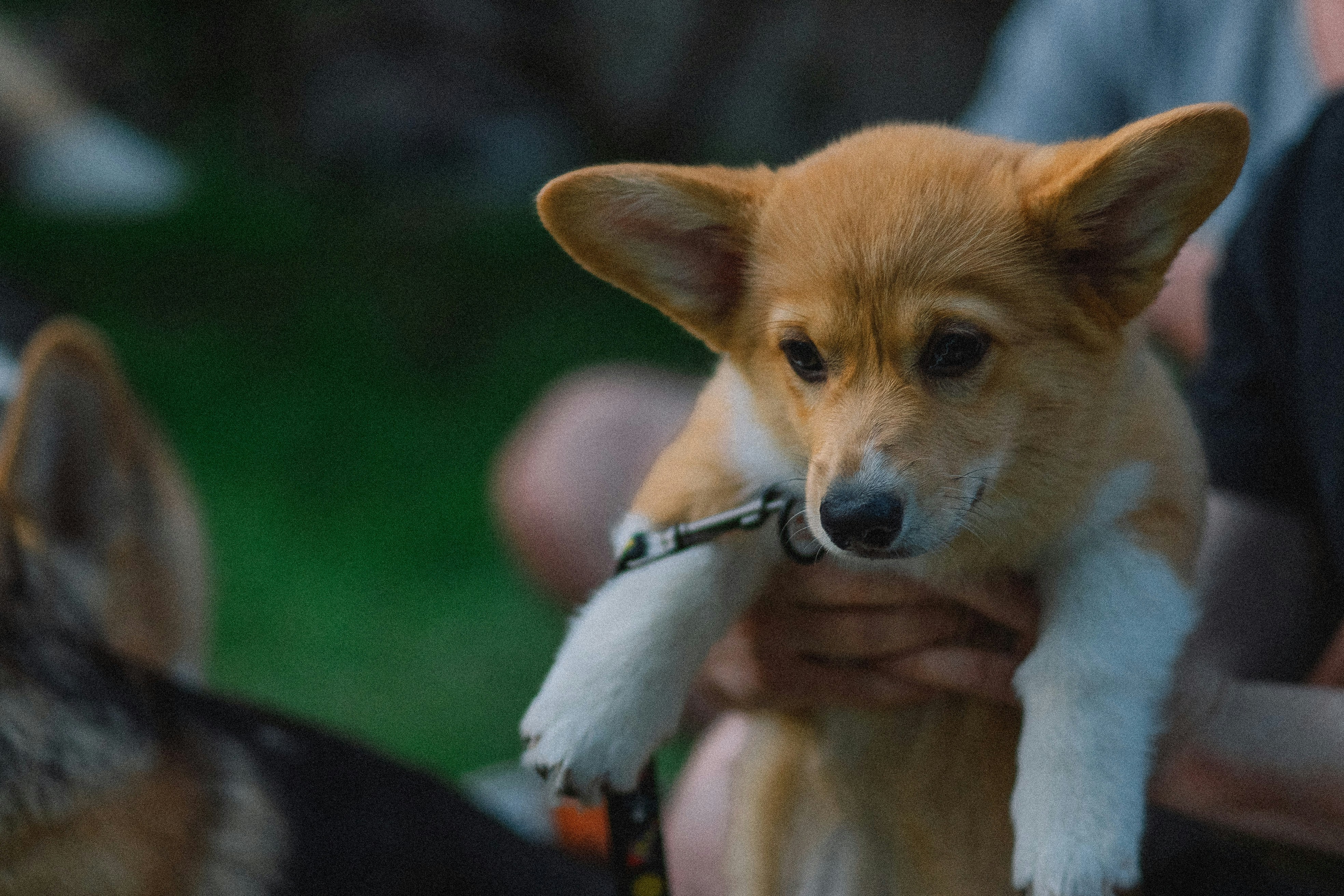 Photo by eugenechystiakov