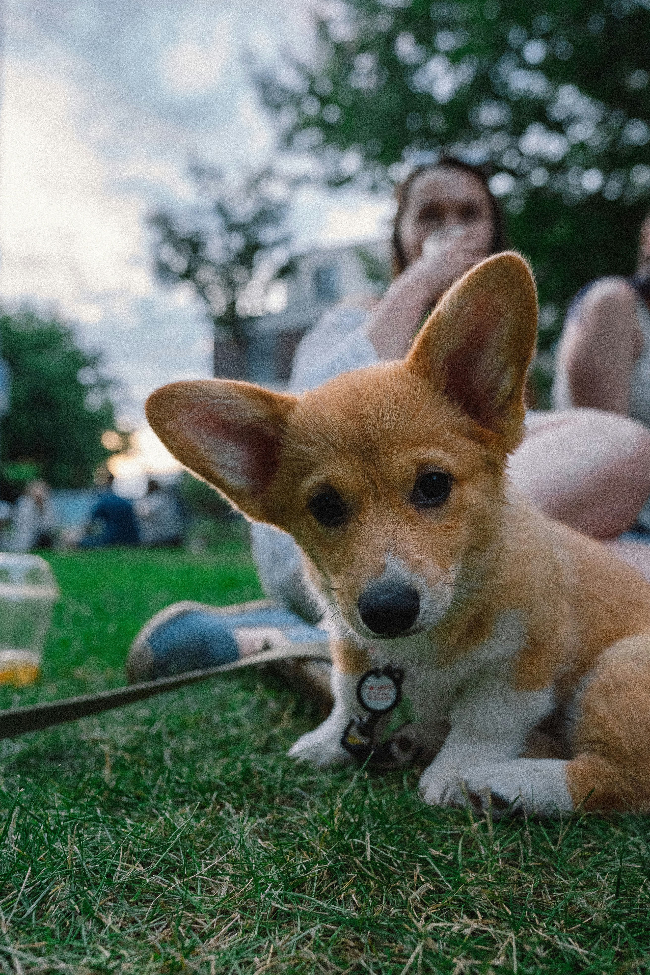 Photo by eugenechystiakov