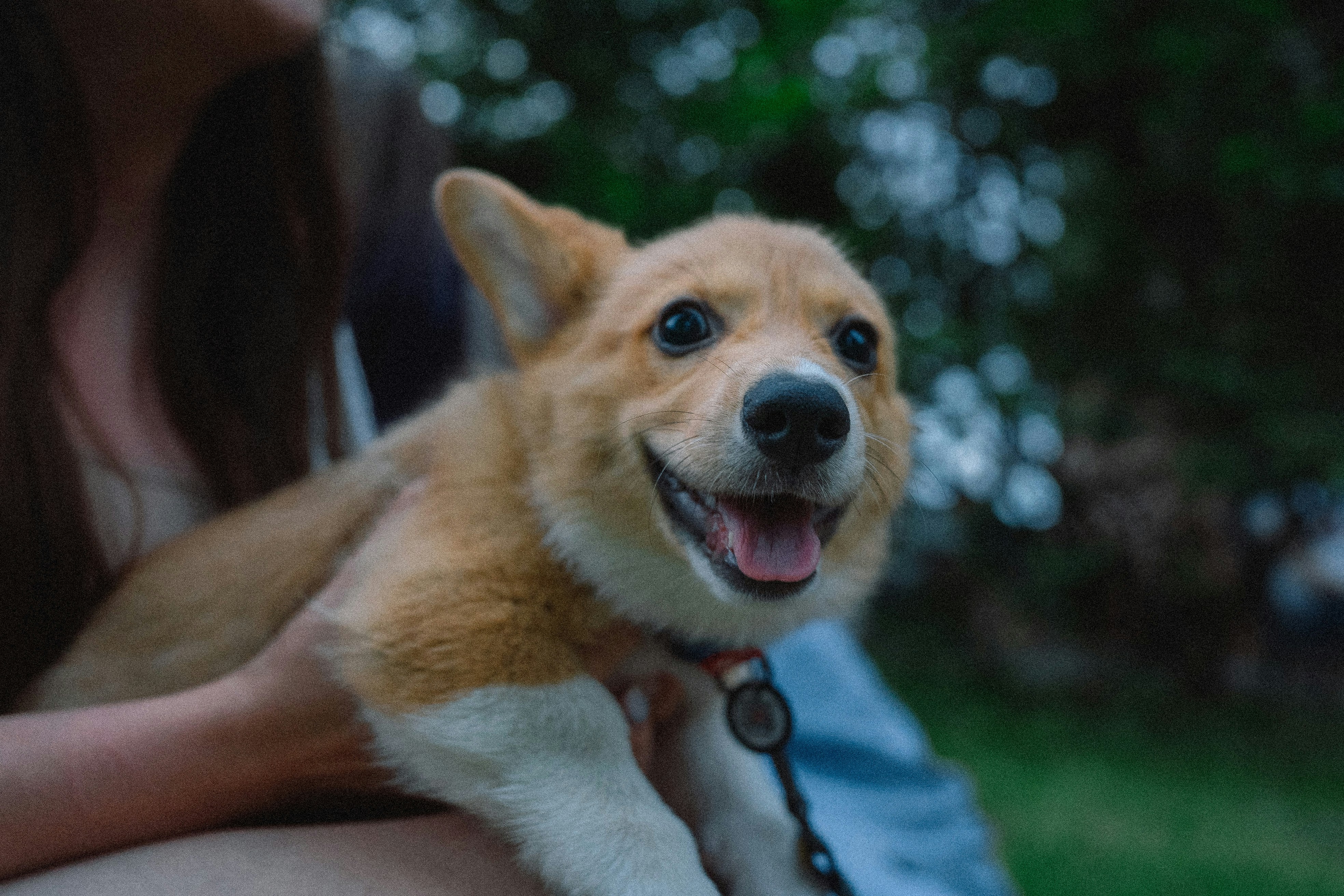 Photo by eugenechystiakov