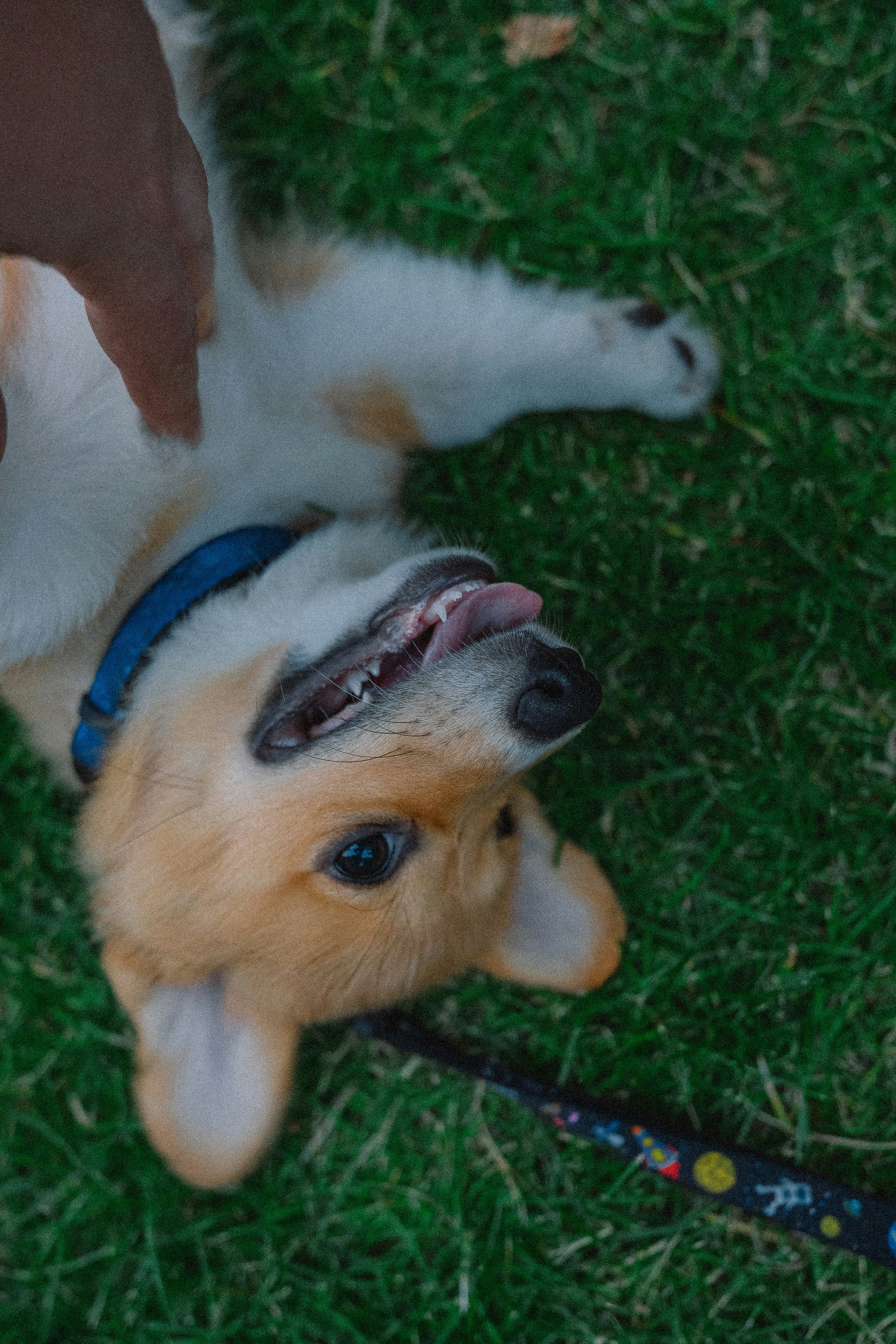 Photo by eugenechystiakov