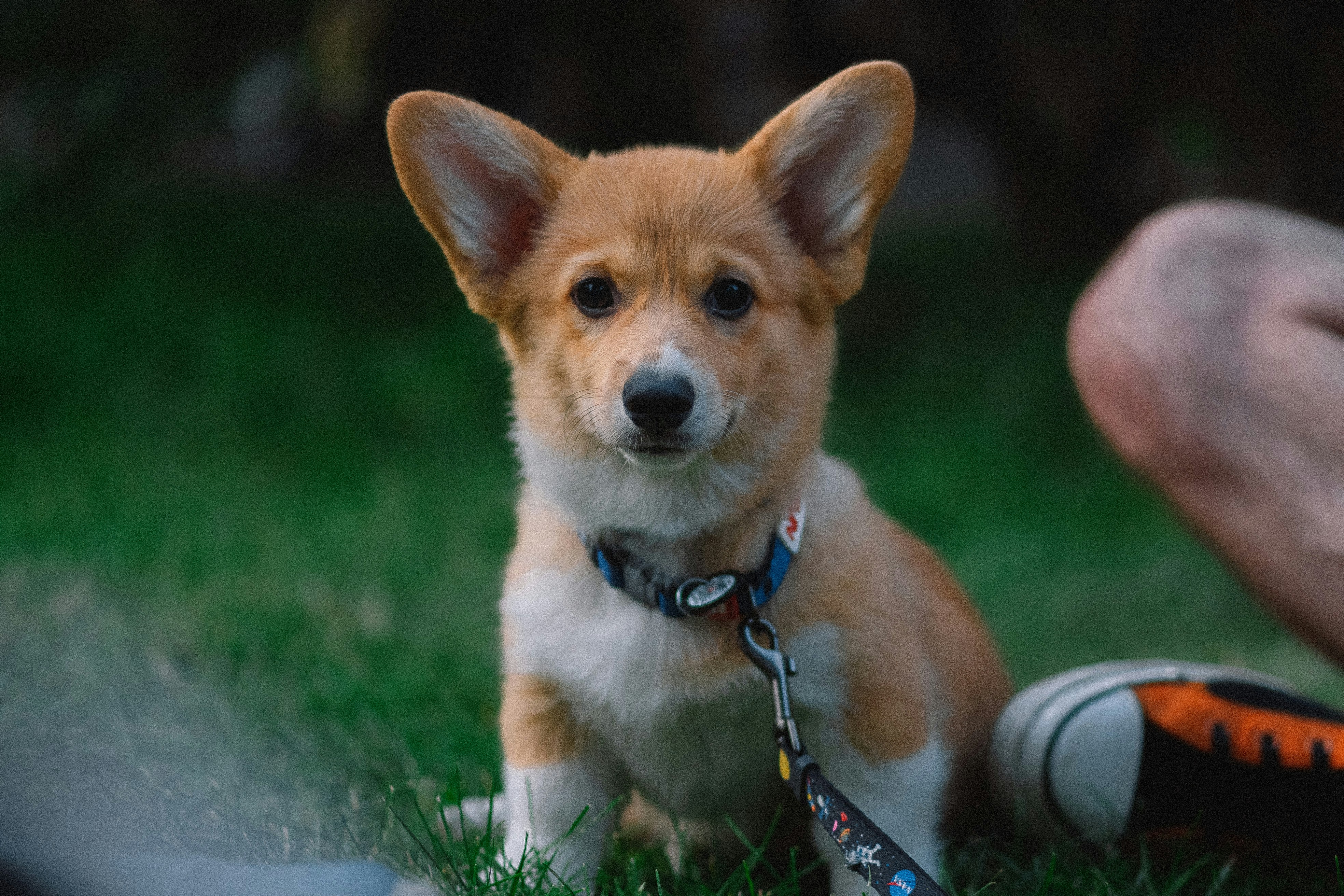 Photo by eugenechystiakov