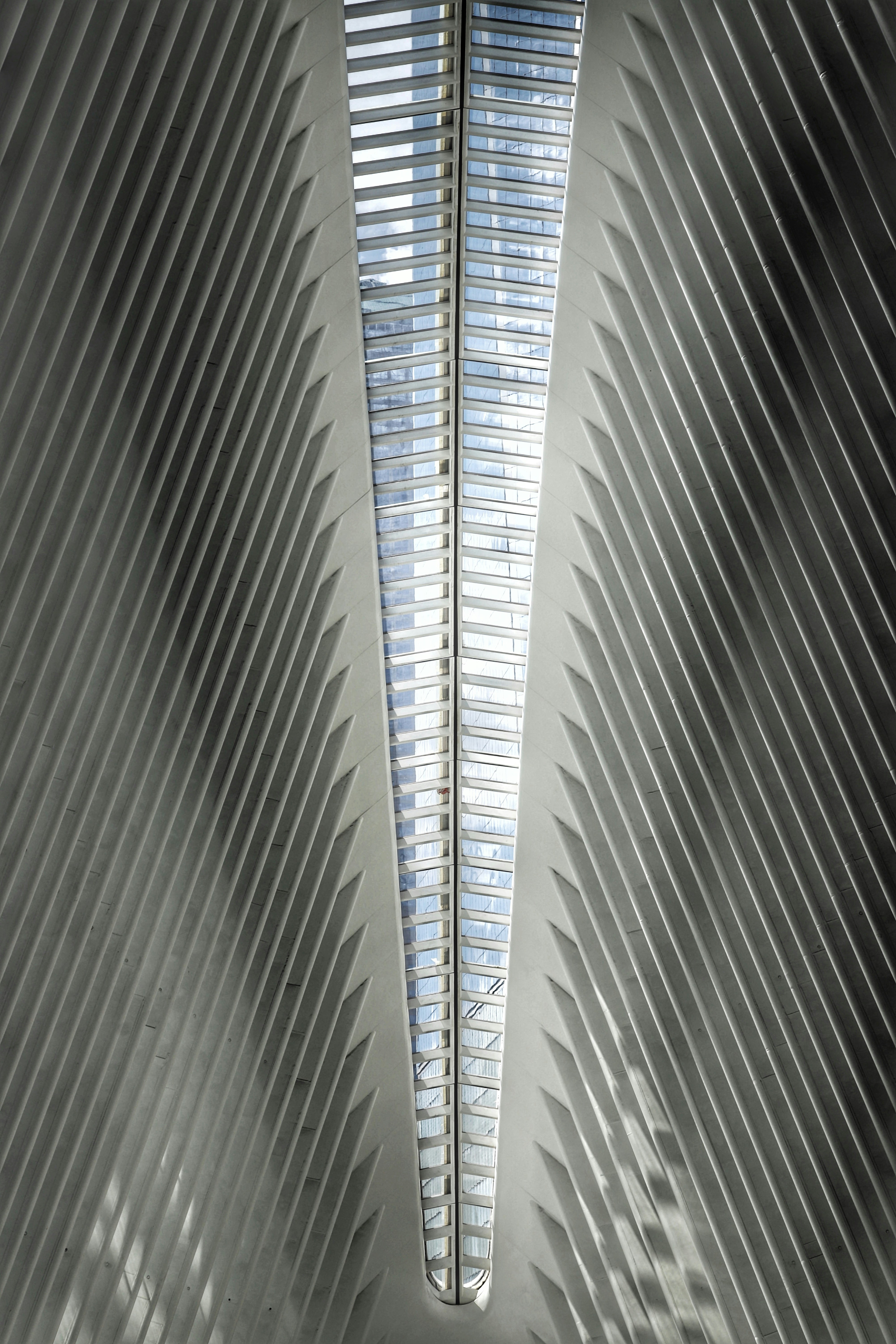 View to the roof of the oculus mall in New York City