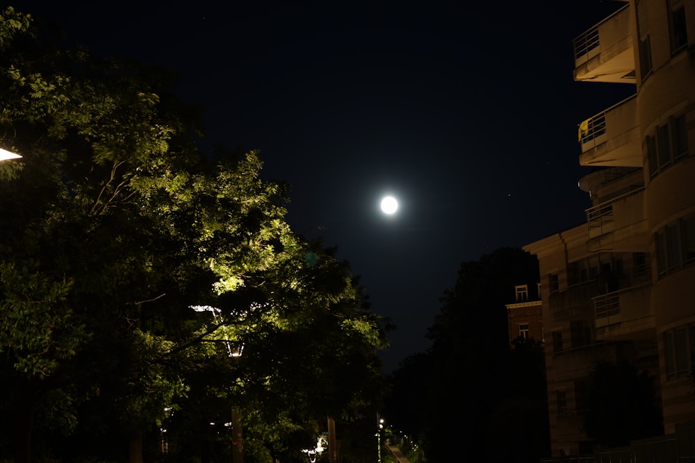 a moon in the sky over trees