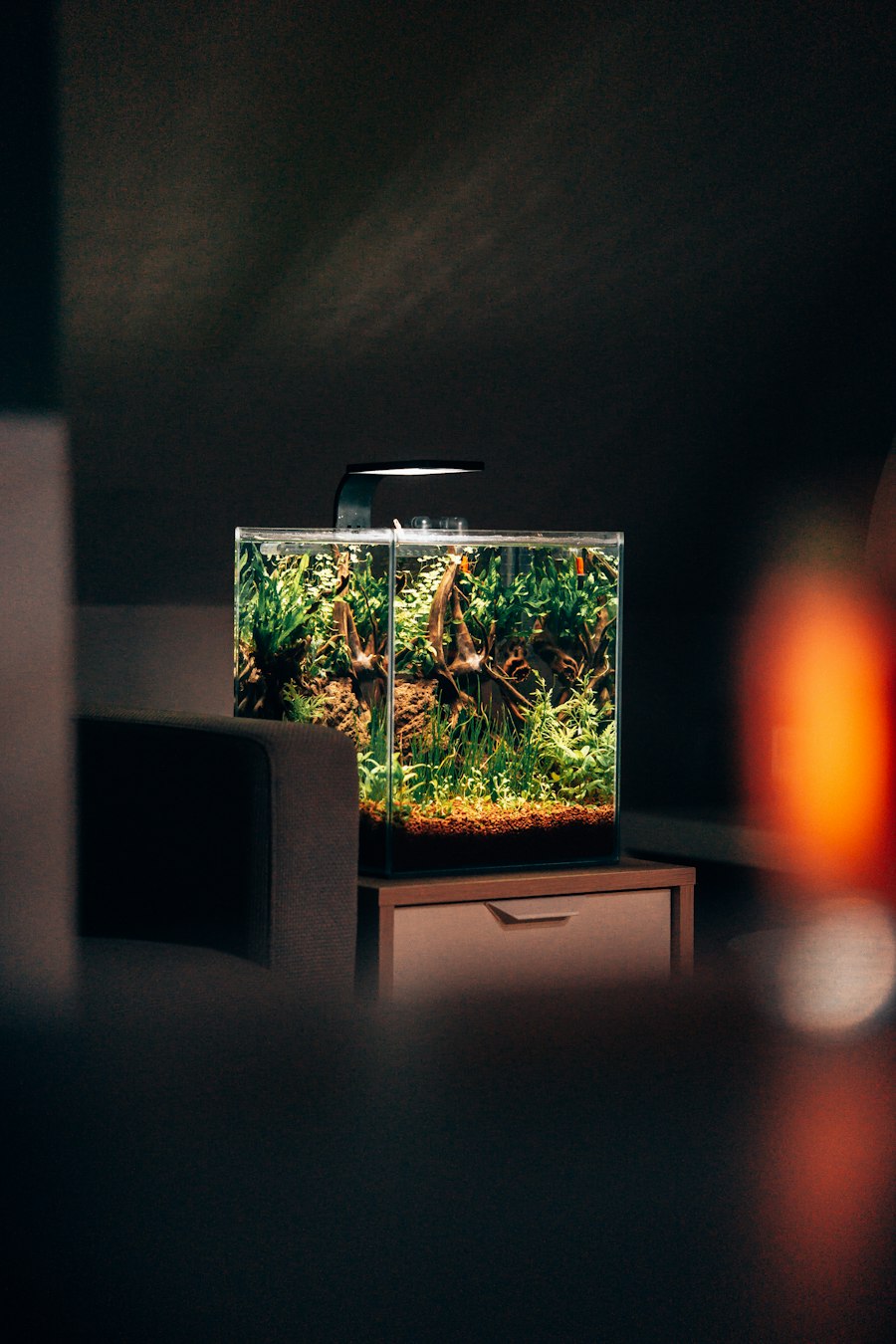 Bộ Hồ Nano 35cm Tôm Cảnh