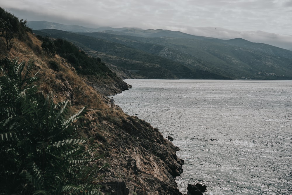 a rocky beach with trees and mountains in the background