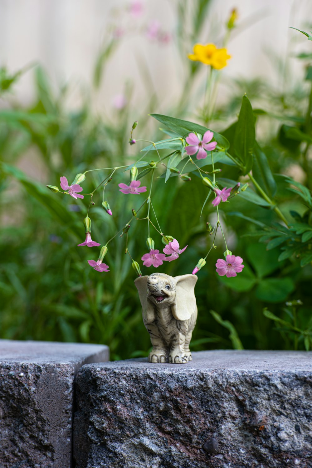 eine Vase mit Blumen, die auf einer rosa Blume auf einer Pflanze sitzt