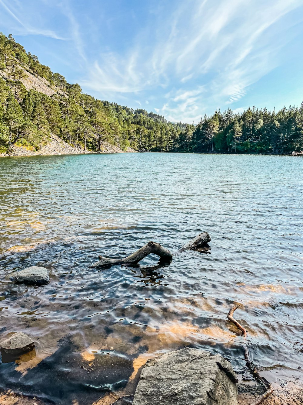 a body of water with rocks and trees around it