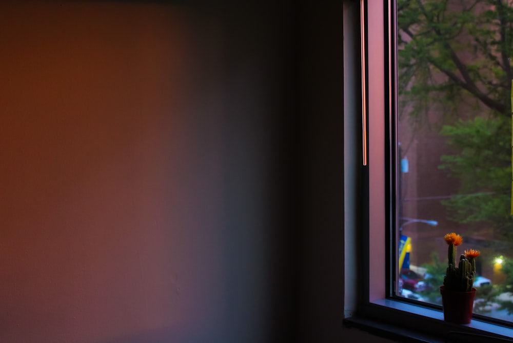 a window with a plant and flowers