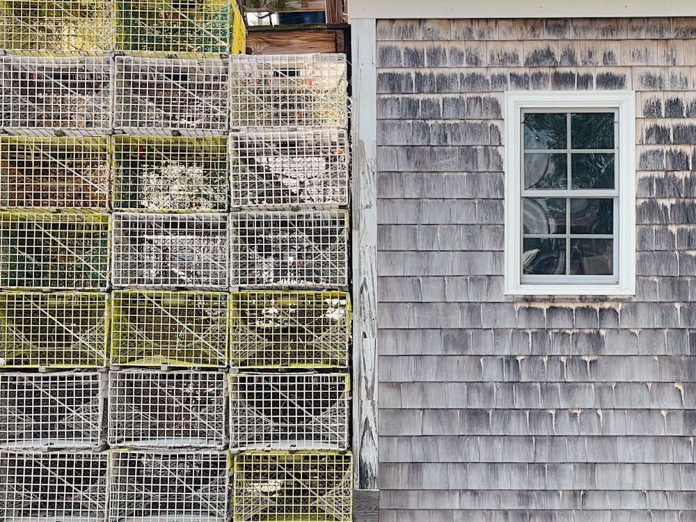 a group of birds in cages