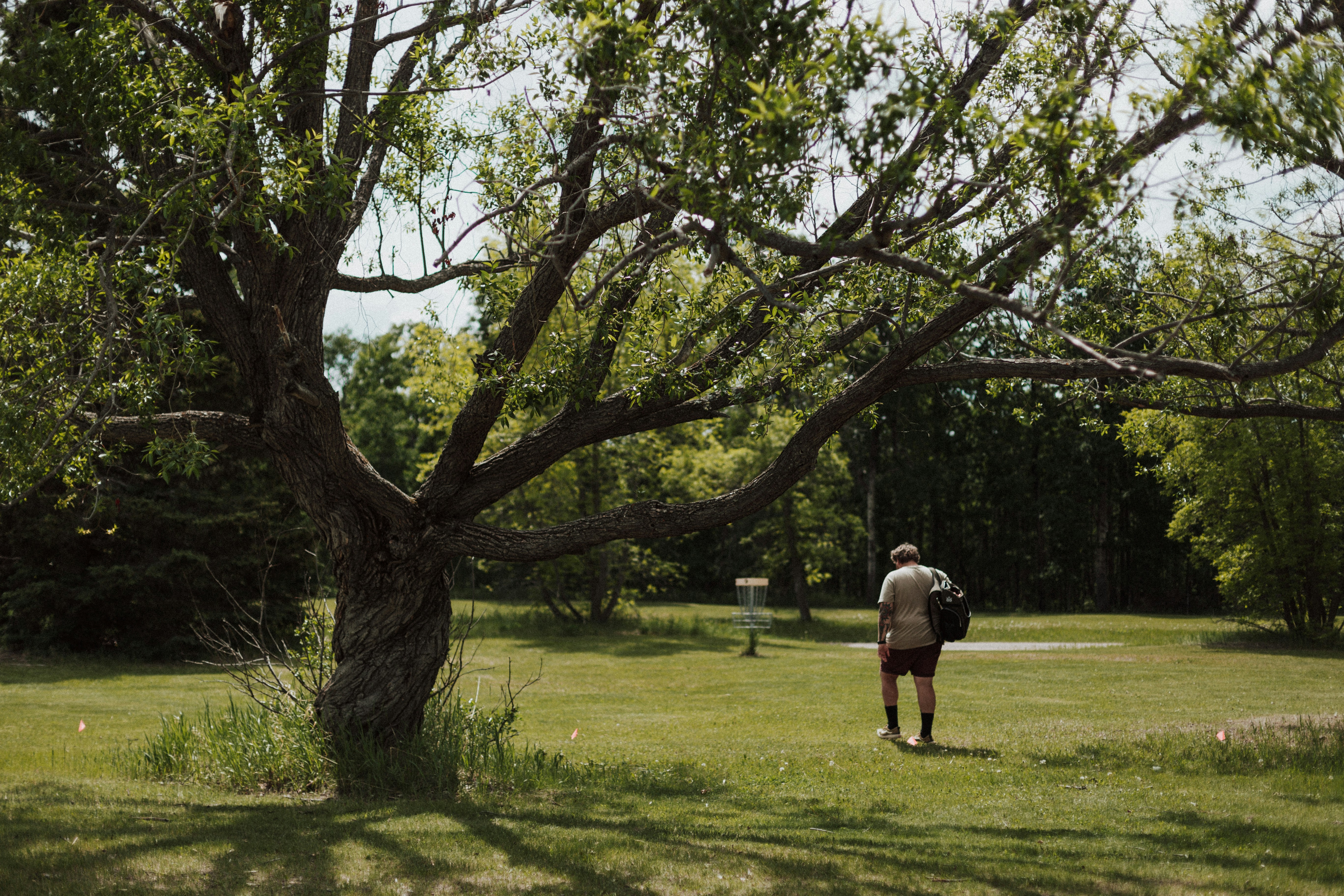 Photo by priscilladupreez