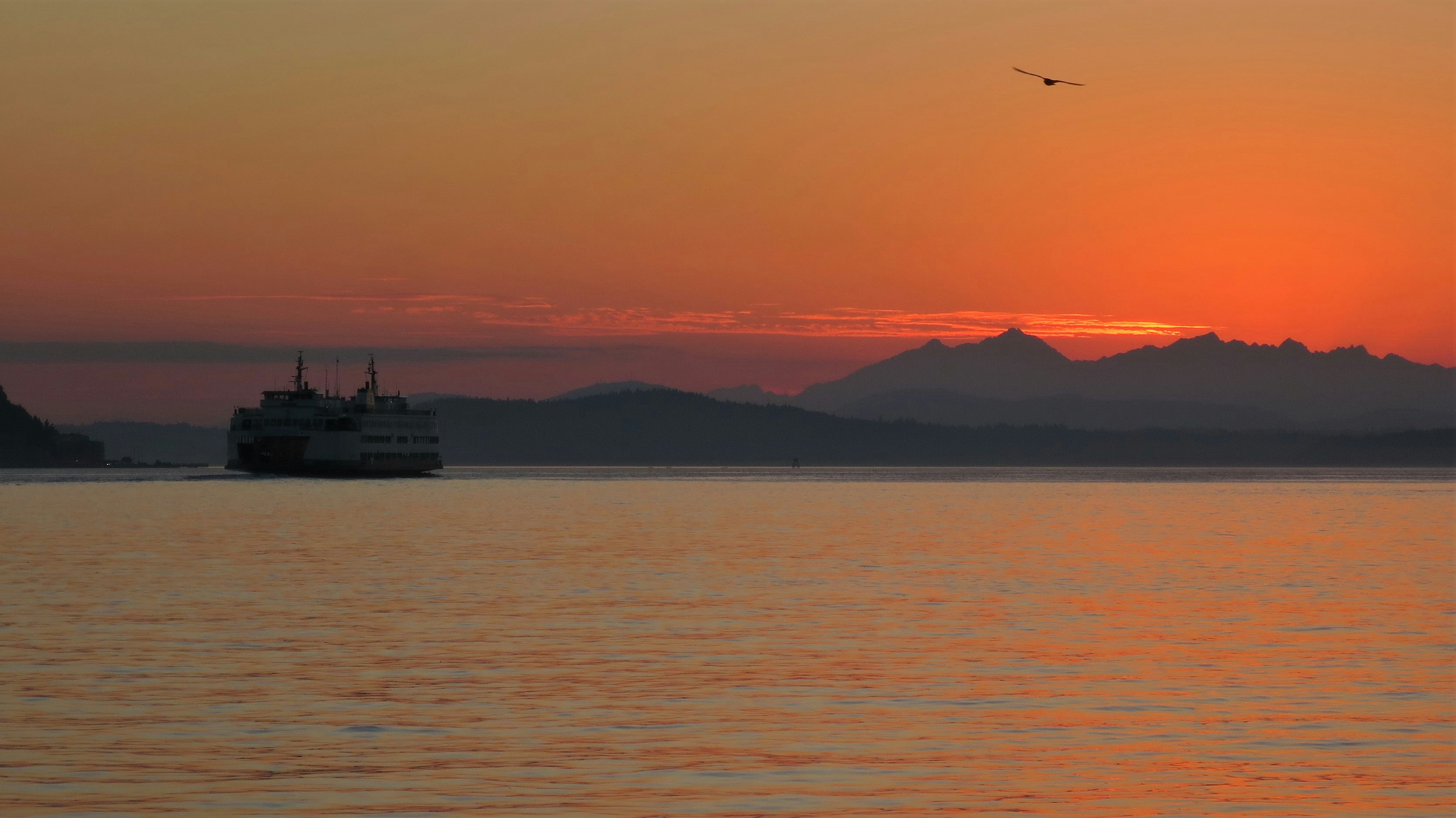 Photo by chrislinnett