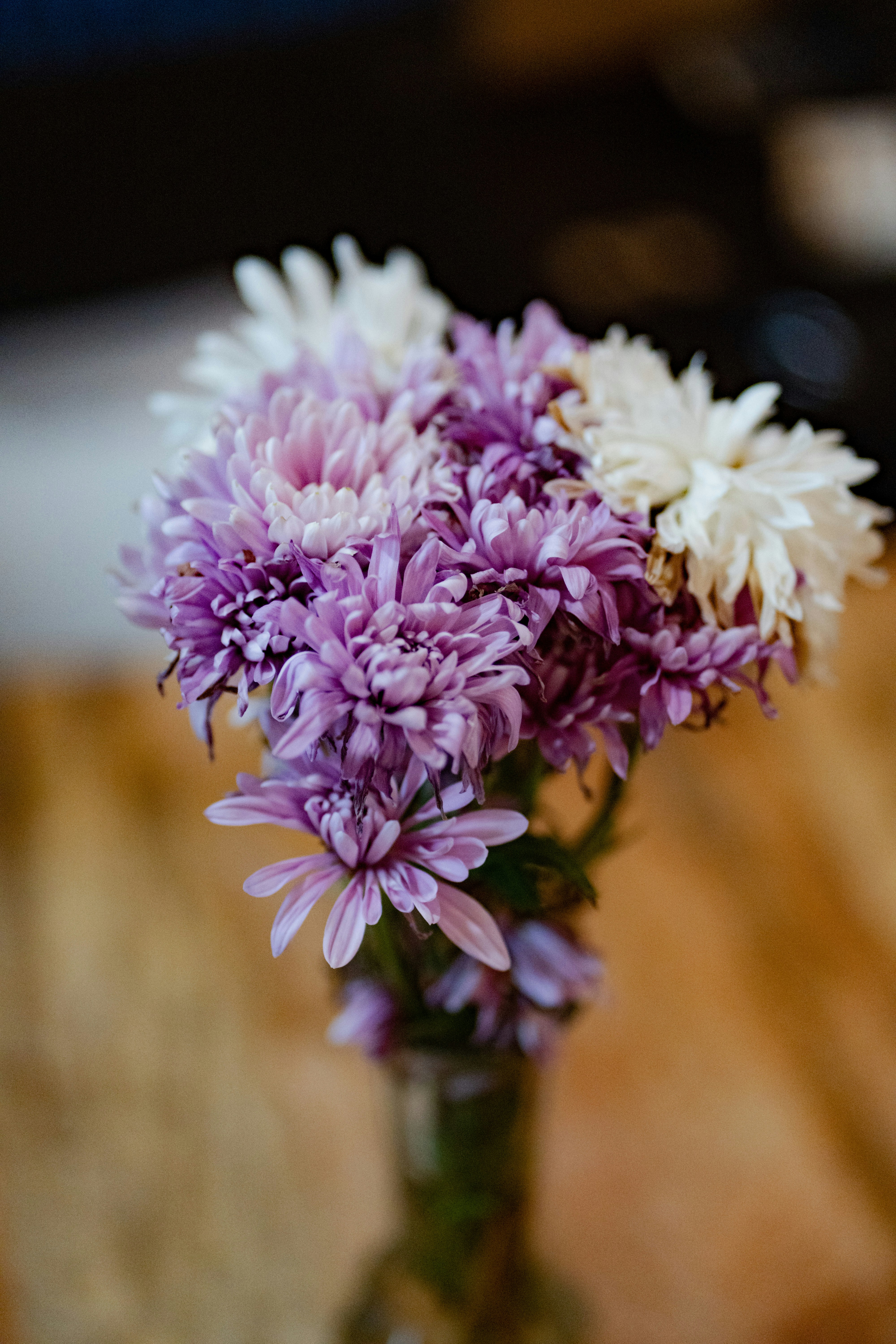 Photo by abhinav1bhardwaj