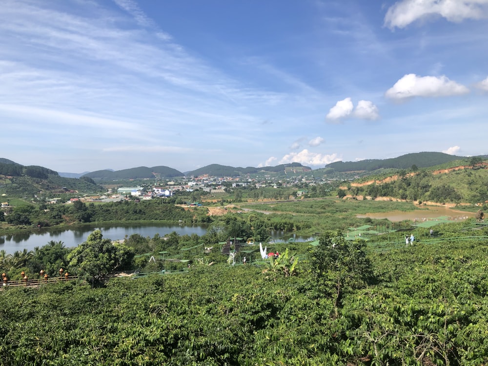 a landscape with trees and a body of water in the back