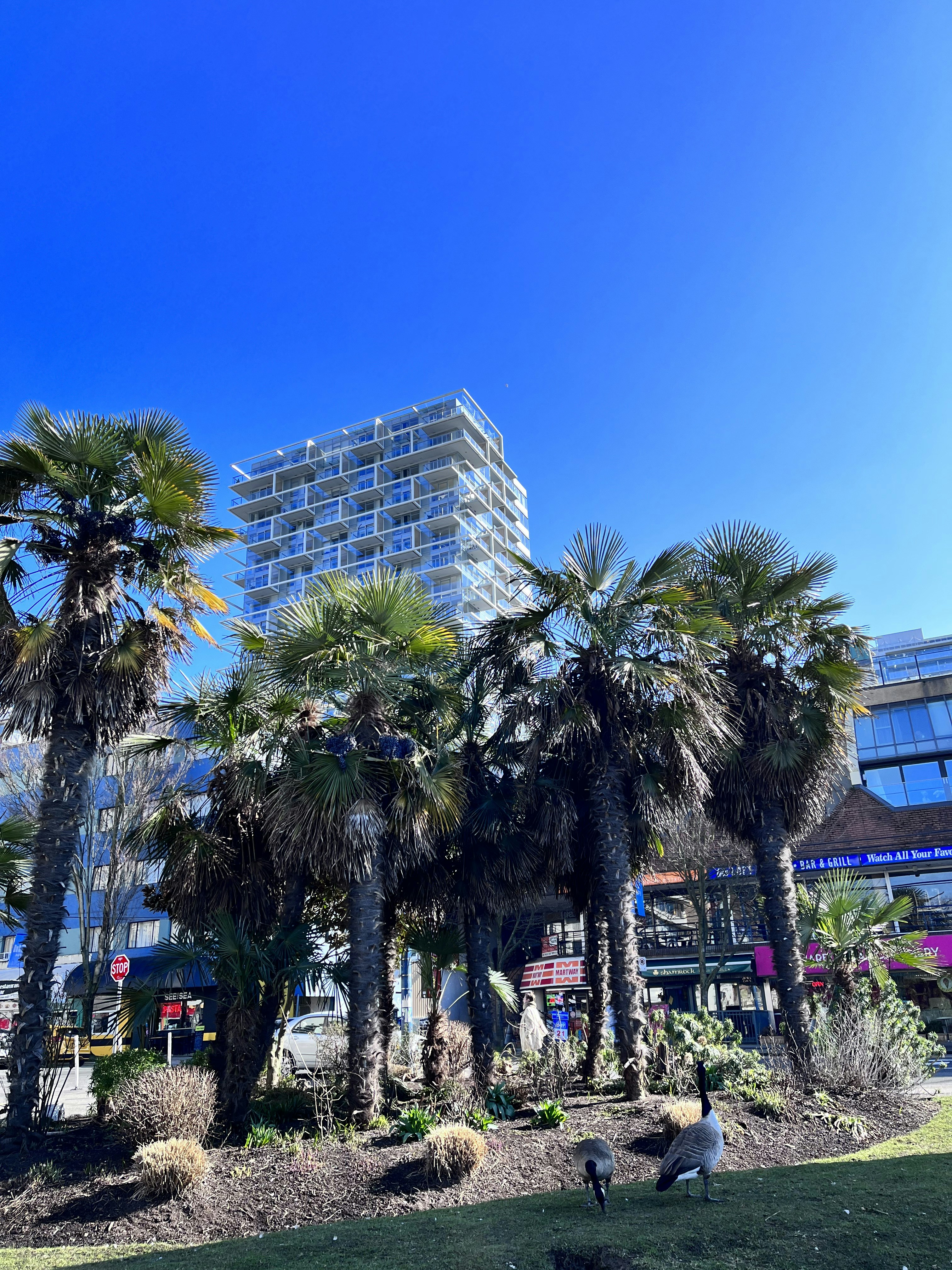 Un edificio alto con palmeras