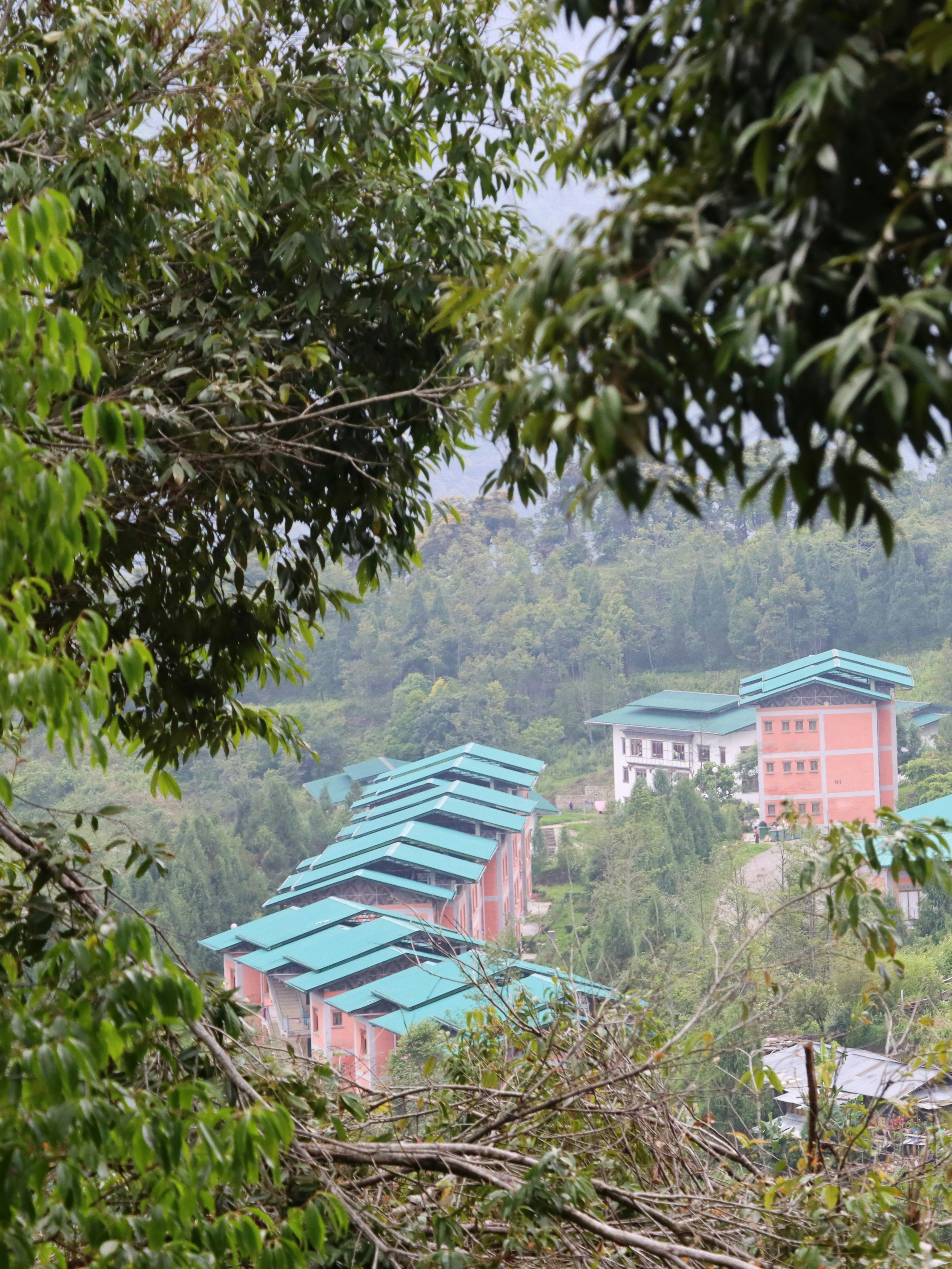 Photo by jamyangloday27