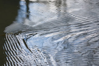 Ripples flow across the surface of water, creating an intricate pattern of waves and reflections. The texture of the water is smooth yet dynamic, capturing a sense of gentle movement.