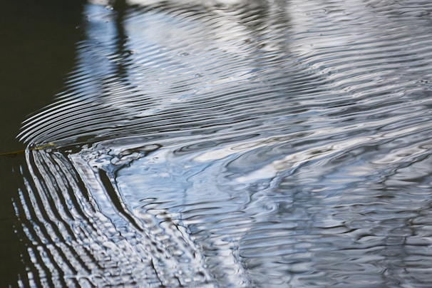 Ripples flow across the surface of water, creating an intricate pattern of waves and reflections. The texture of the water is smooth yet dynamic, capturing a sense of gentle movement.