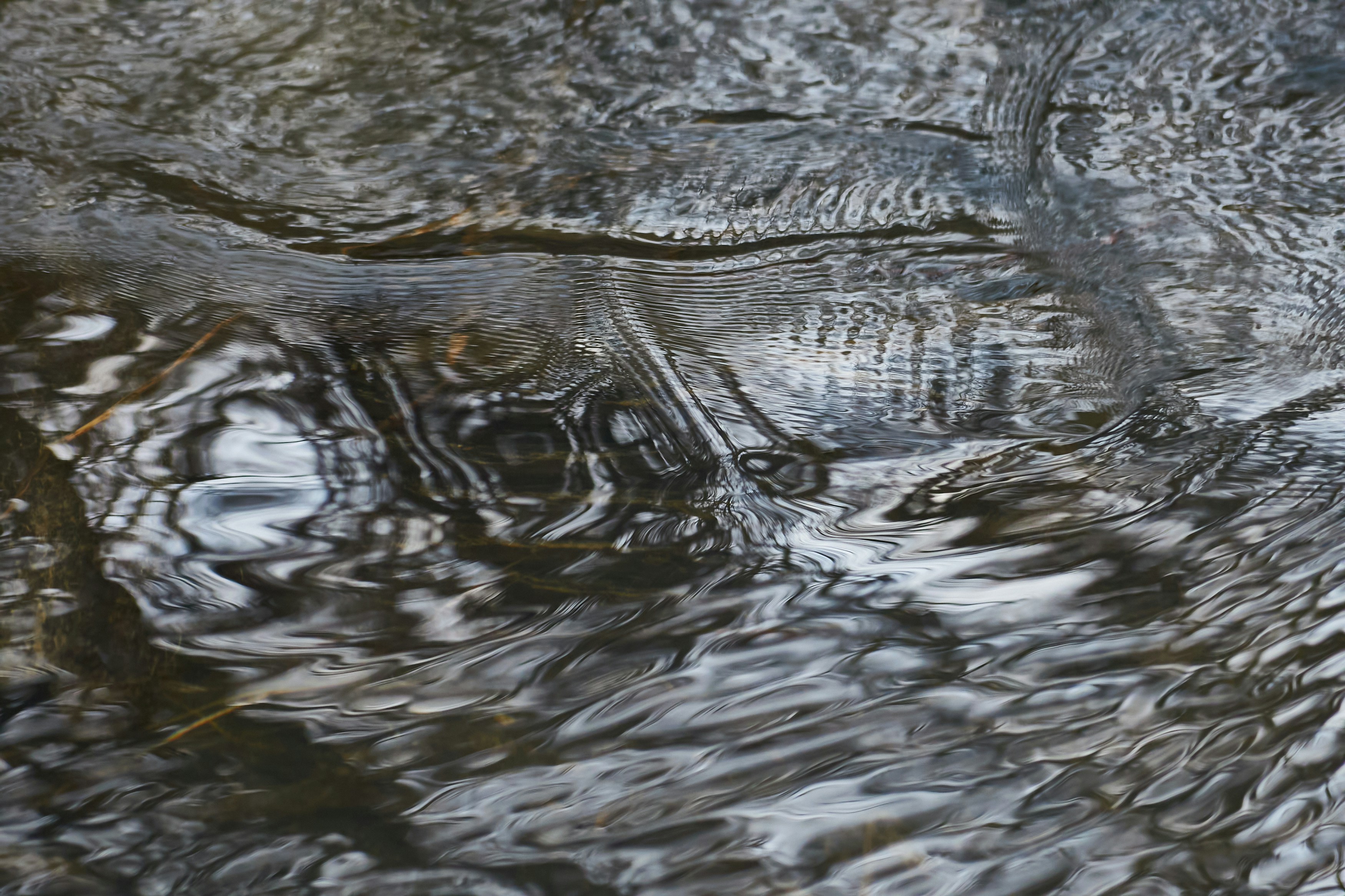 Photo by designbytholen