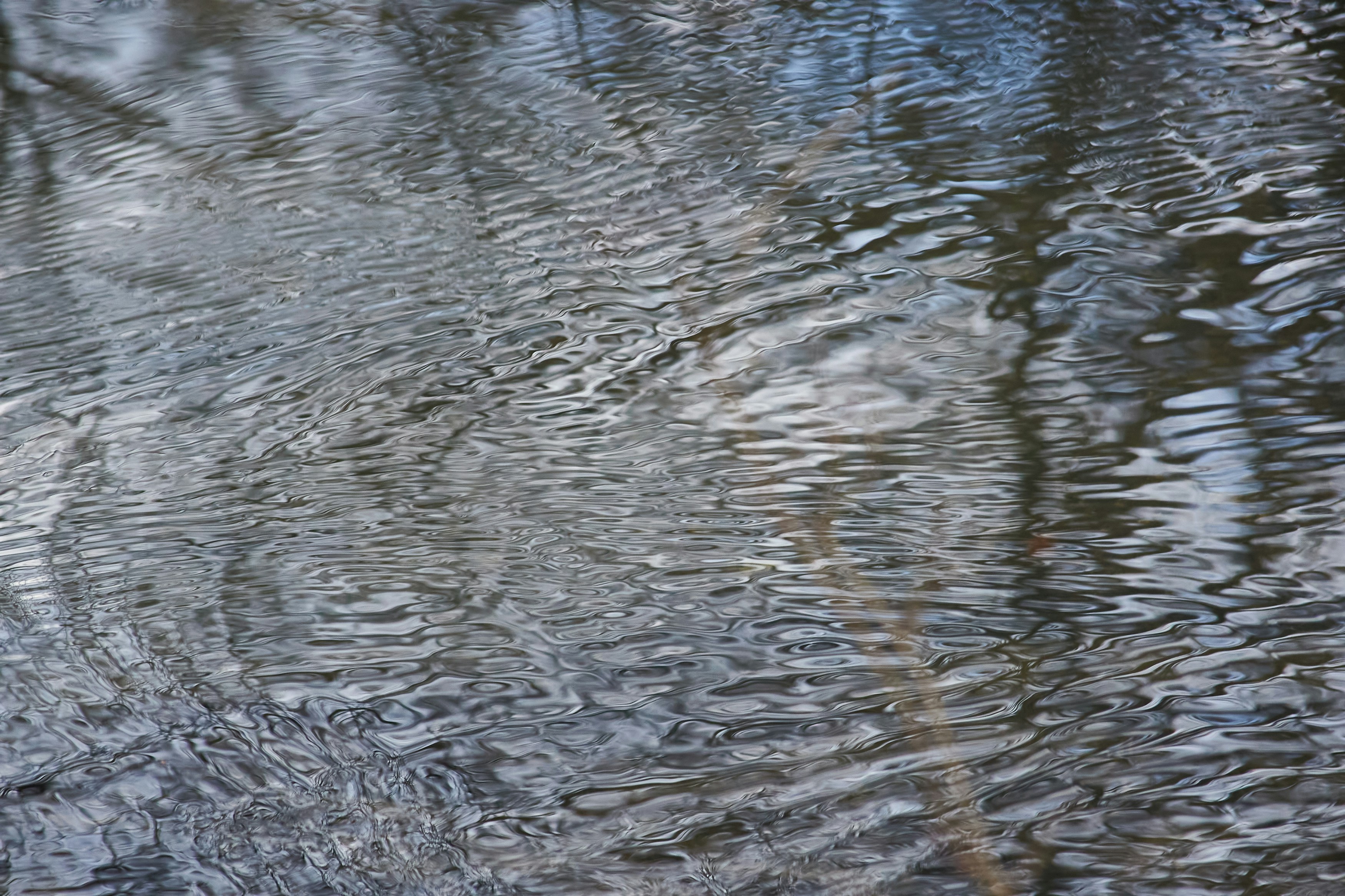 Photo by designbytholen