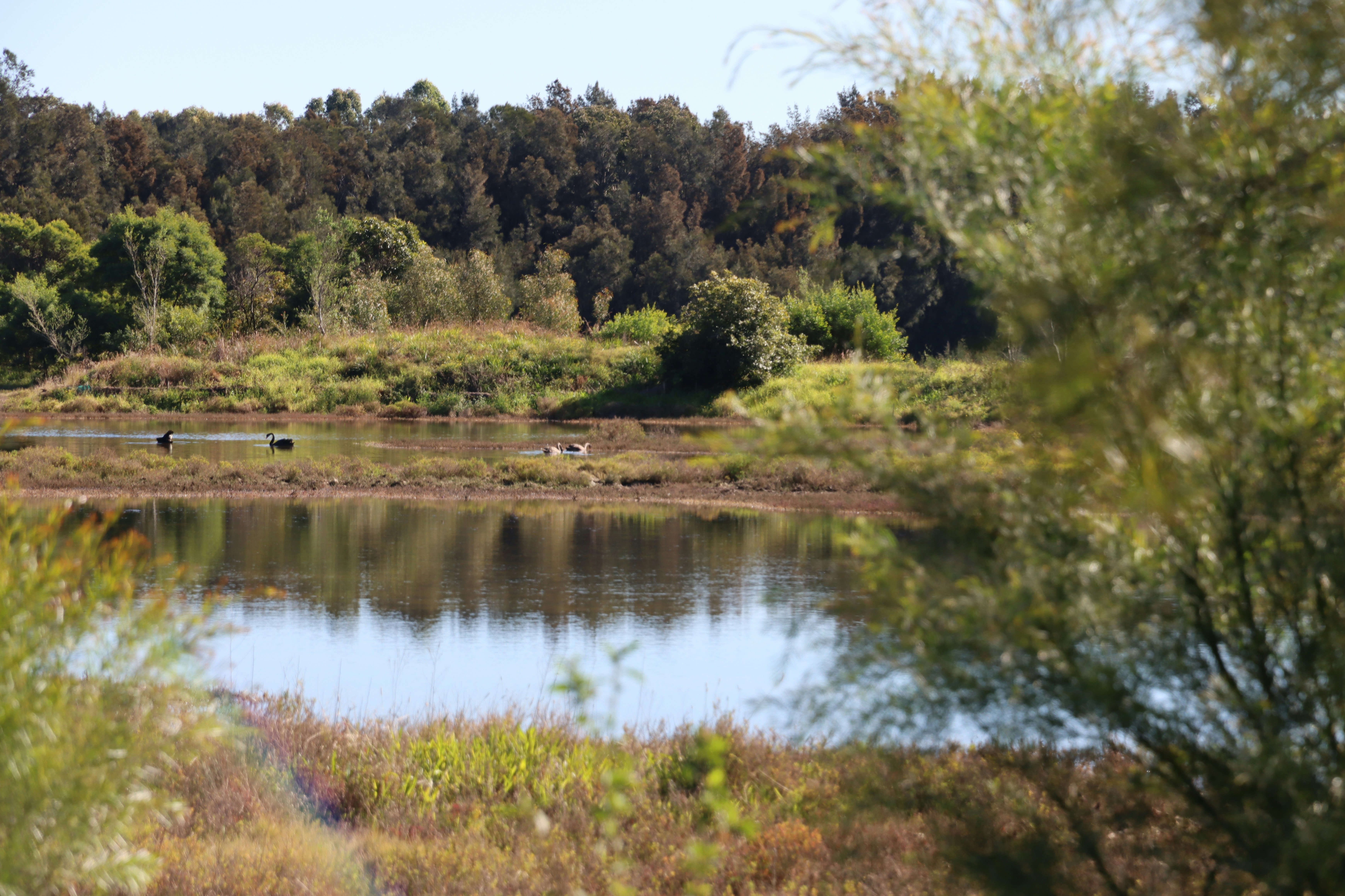 Photo by bluephoto118