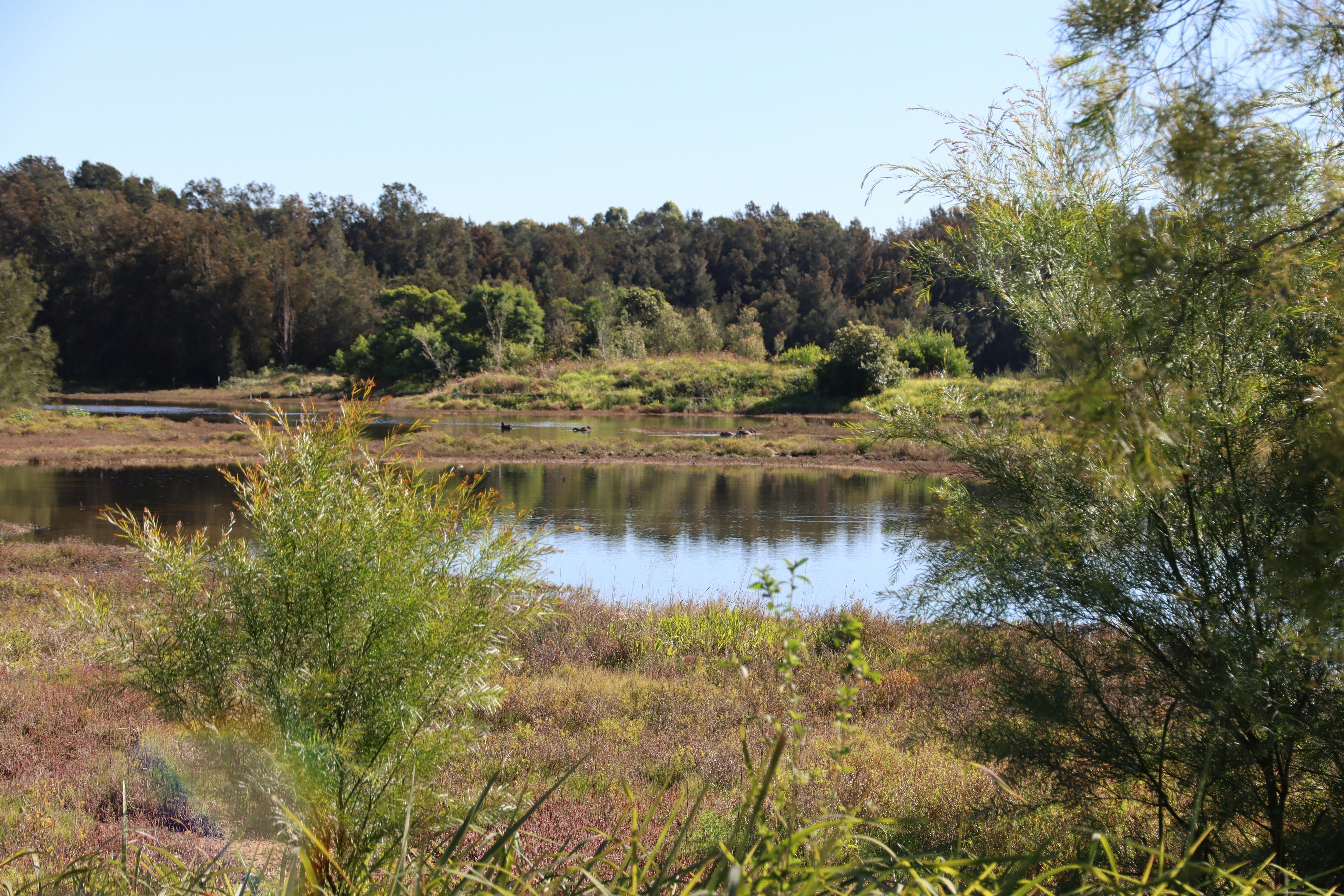 Photo by bluephoto118