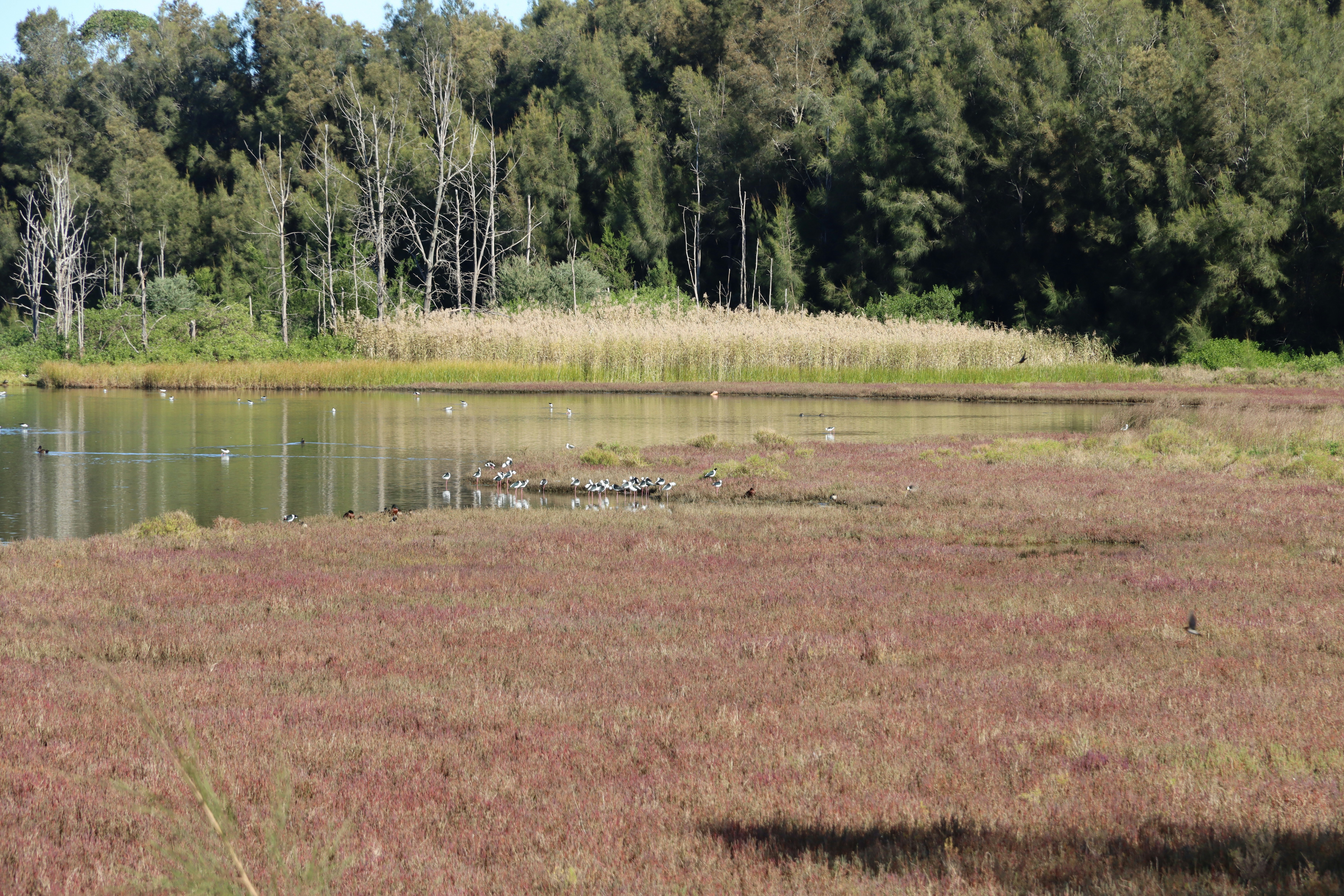 Photo by bluephoto118