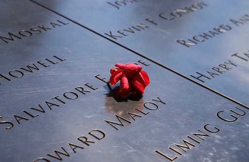 A close-up view of a memorial wall featuring engraved names of individuals. A single red rose is placed on the wall, symbolizing a tribute to the fallen.