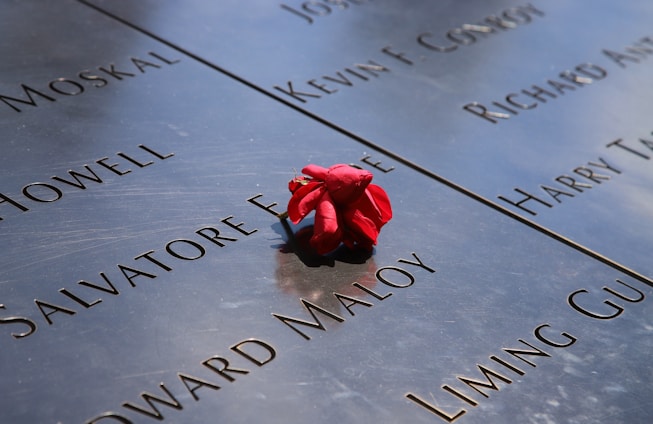 A close-up view of a memorial wall featuring engraved names of individuals. A single red rose is placed on the wall, symbolizing a tribute to the fallen.