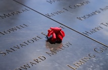 A close-up view of a memorial wall featuring engraved names of individuals. A single red rose is placed on the wall, symbolizing a tribute to the fallen.