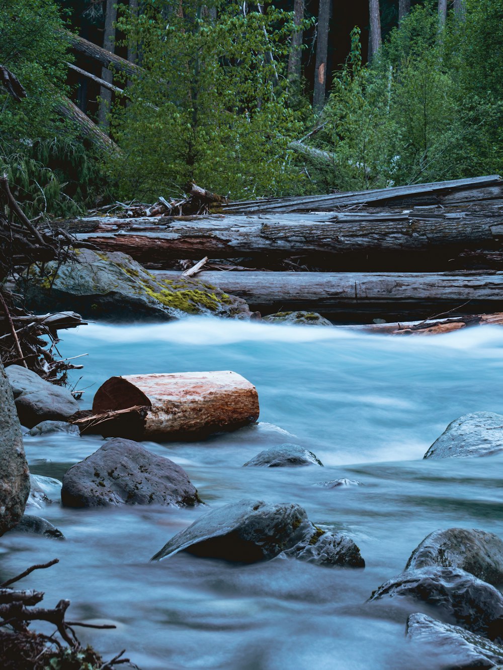 a river with rocks and trees