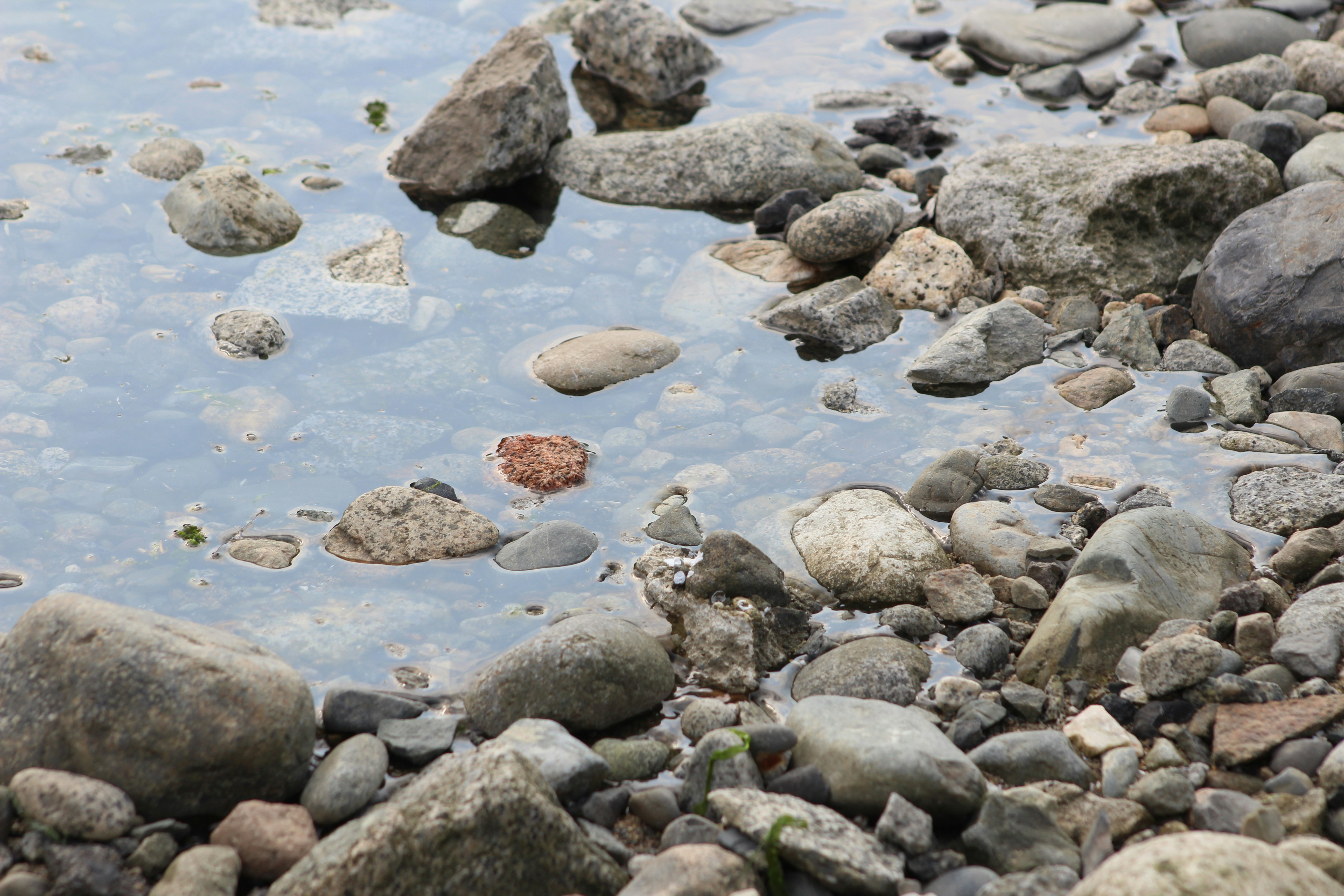 Photo by photoswithgabe